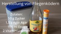 Fliegenkoeder