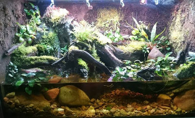 Ceresit Aquaterrarium