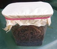 Fliegenbecher sp�len