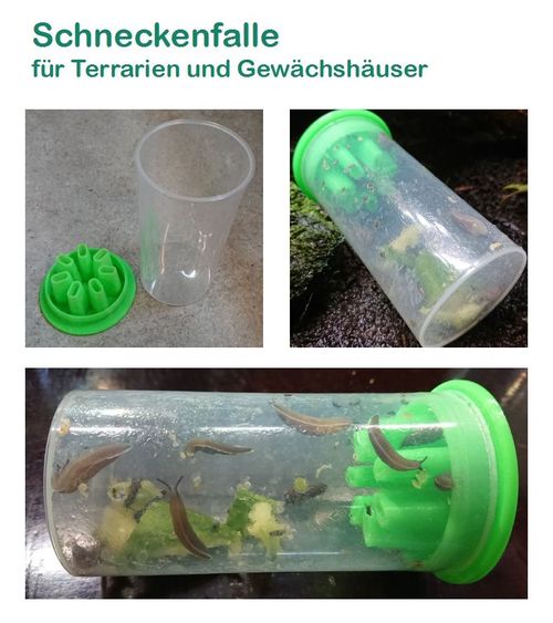 Schneckenfalle